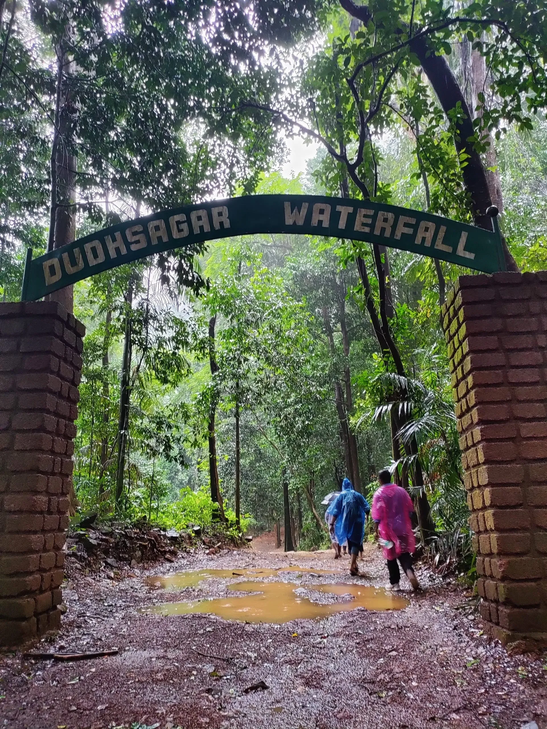 Dudhsagar Waterfalls